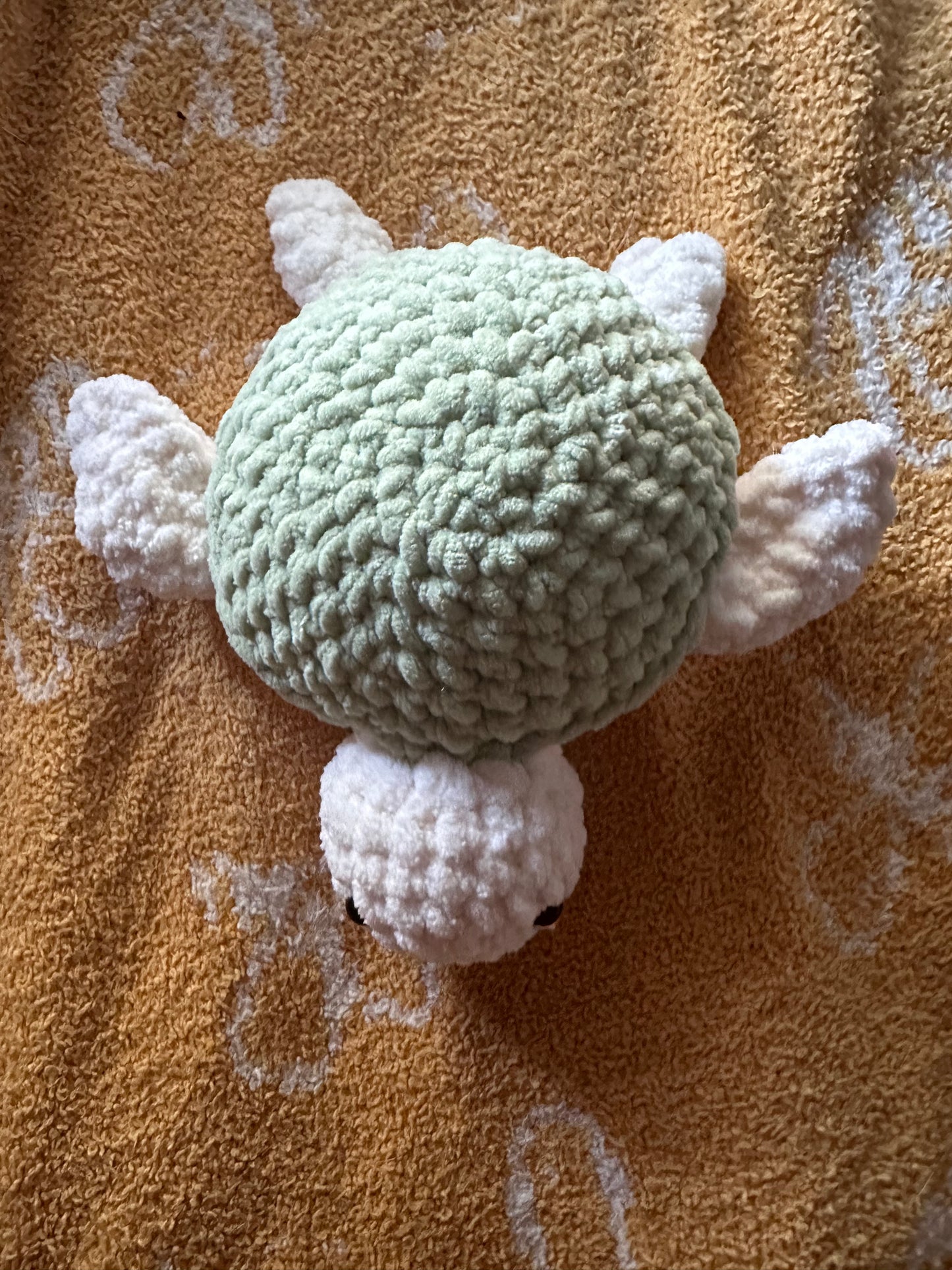 Sea turtleš¢