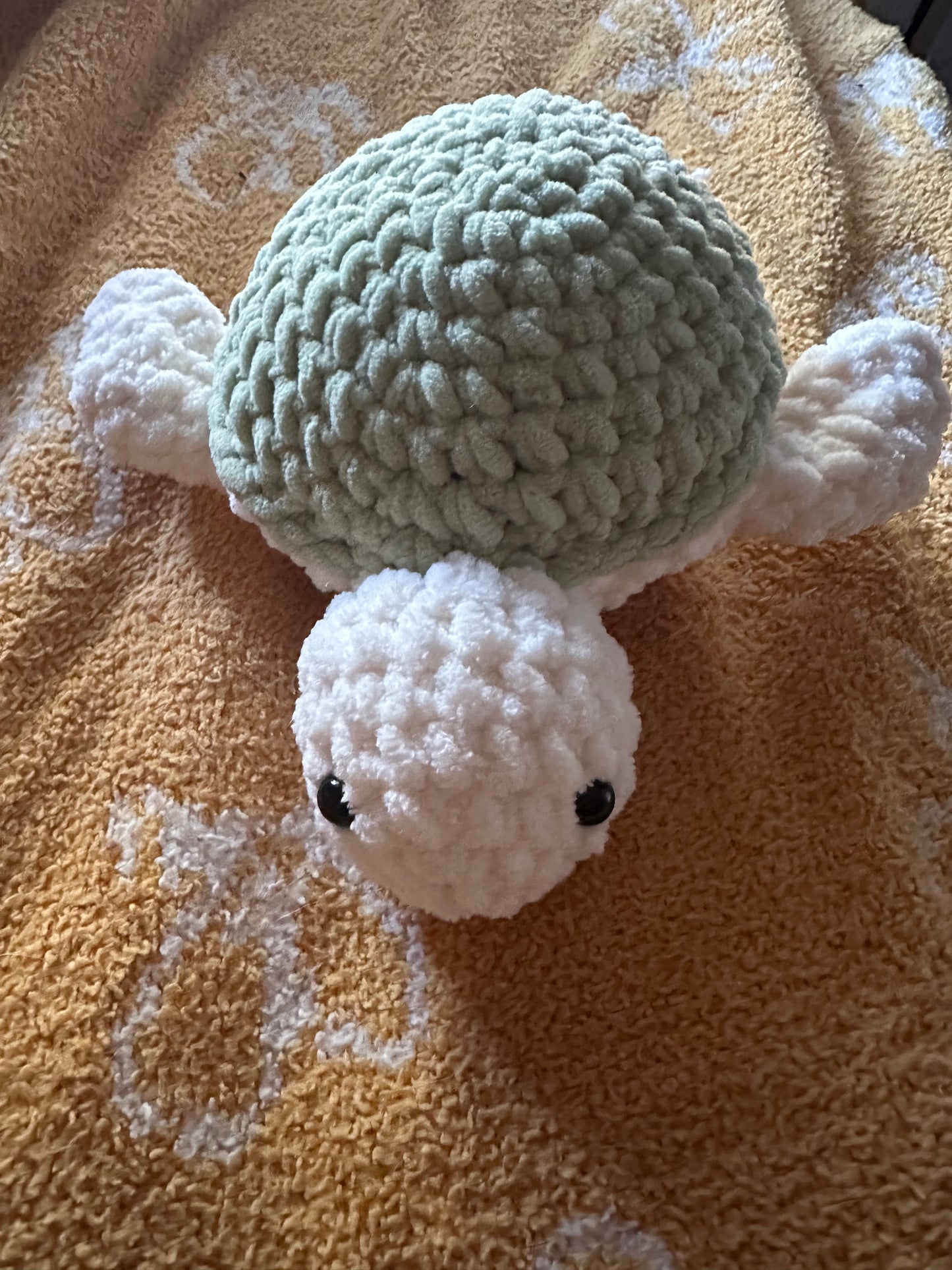 Sea turtleš¢